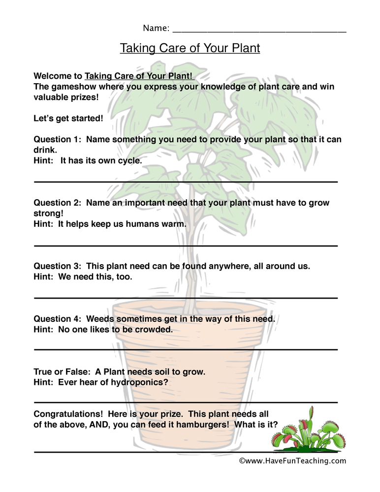 Plant Worksheets Have Fun Teaching