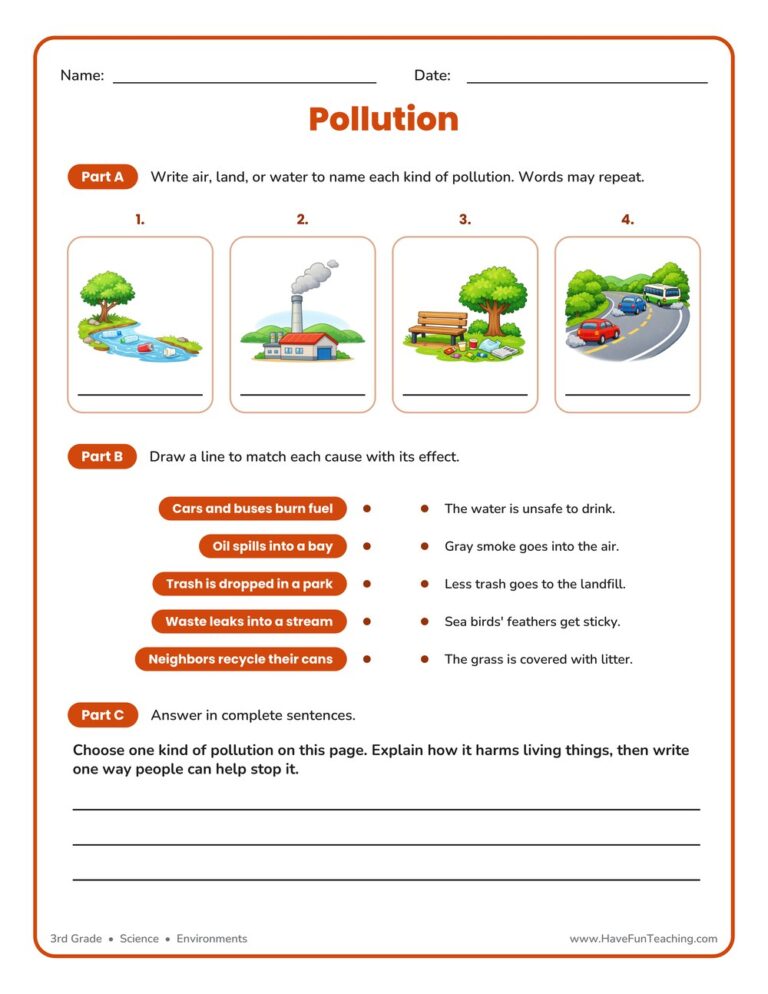 Pollution Worksheet