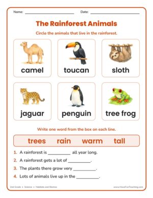 2nd Grade rainforest animals worksheet - circle the animals that live in the rainforest