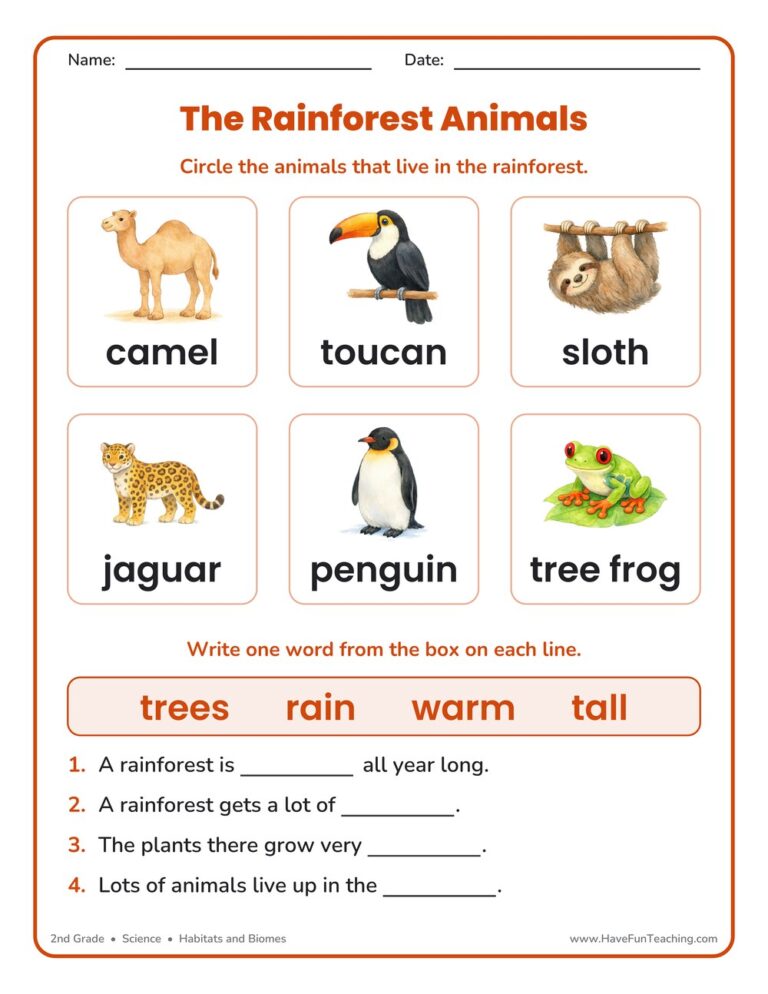 Rainforest Animals Worksheet