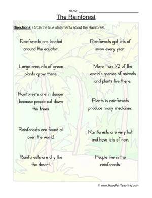 Rainforest True or False Worksheet