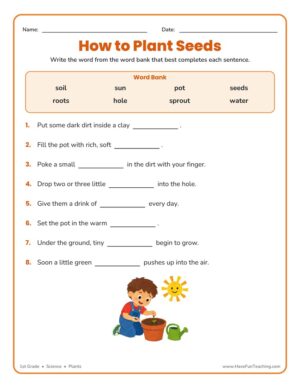 Seeds Plants Fill in the Blanks Worksheet for 1st grade science about how to plant seeds