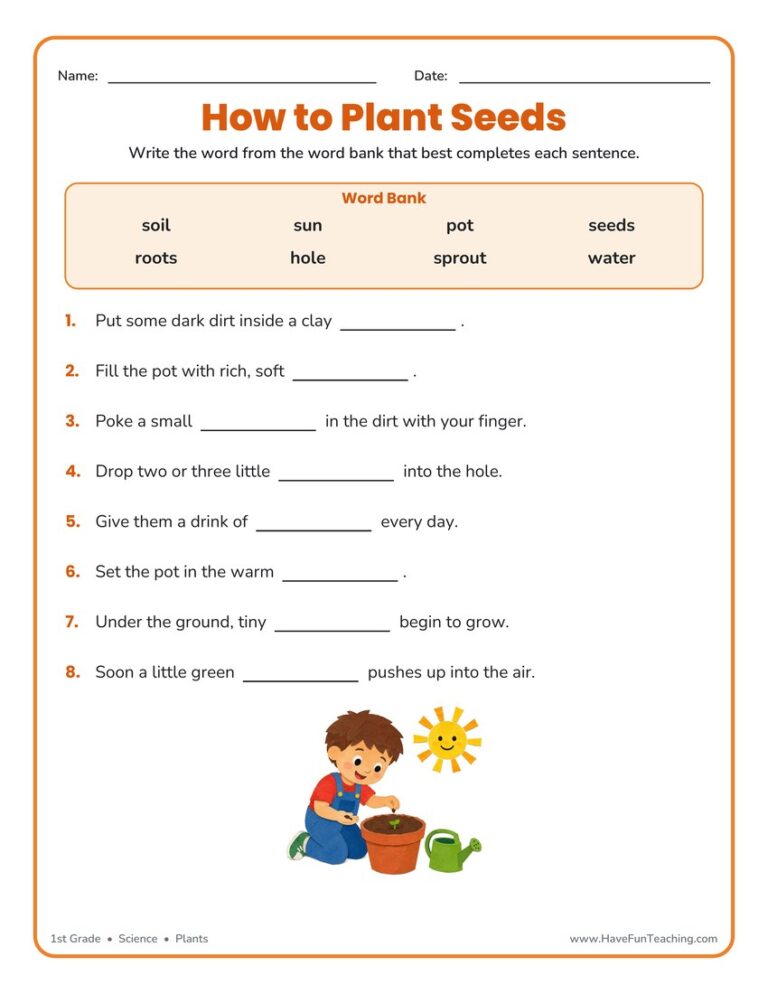 Seeds Plants Fill in the Blanks Worksheet