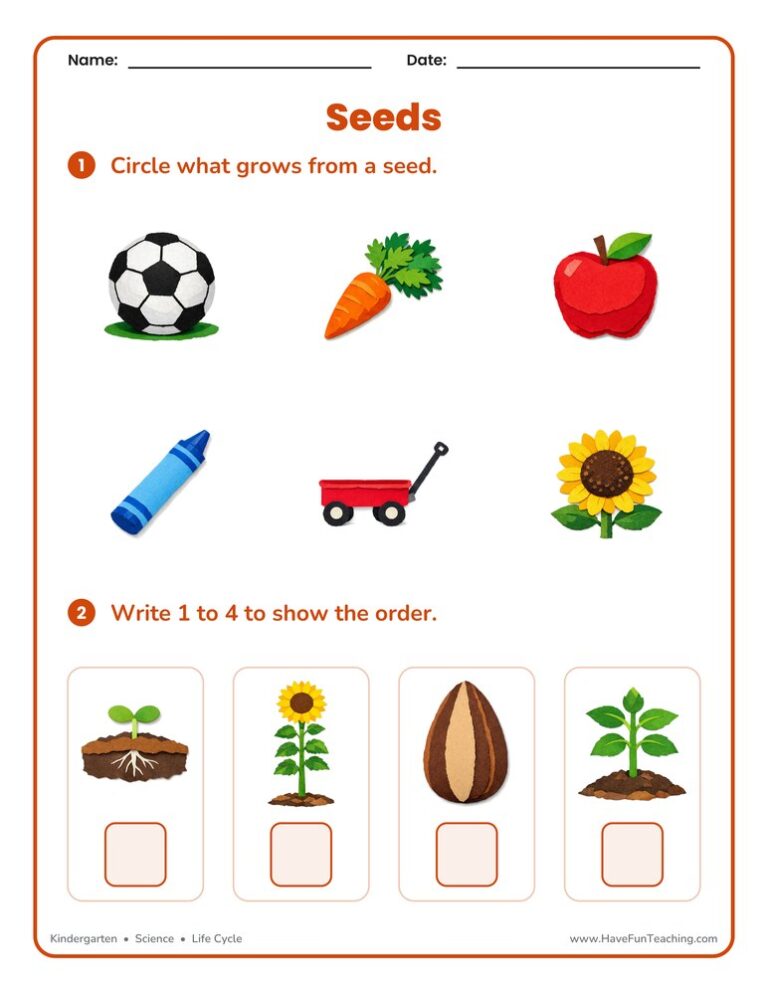 Growing from Seeds Worksheet