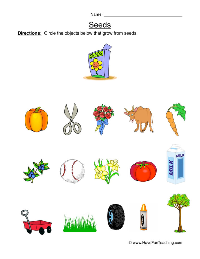 Growing from Seeds Worksheet