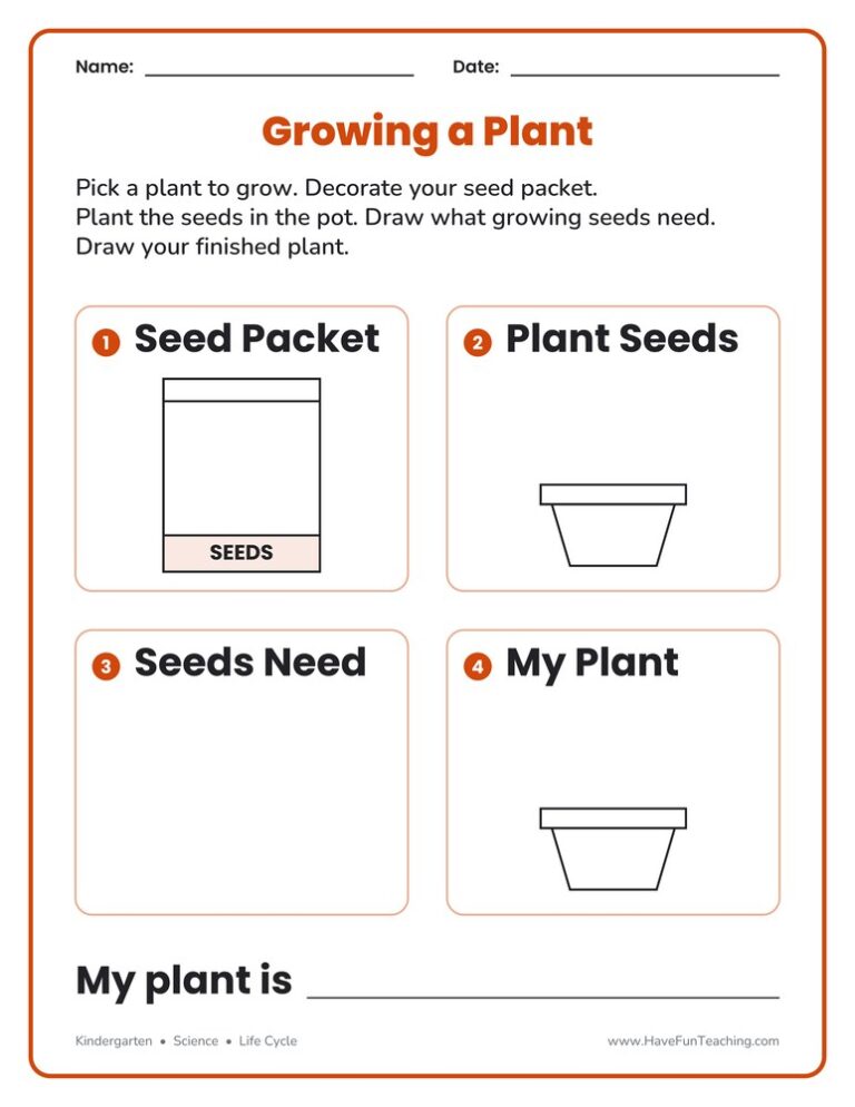 Seeds Draw and Write Worksheet