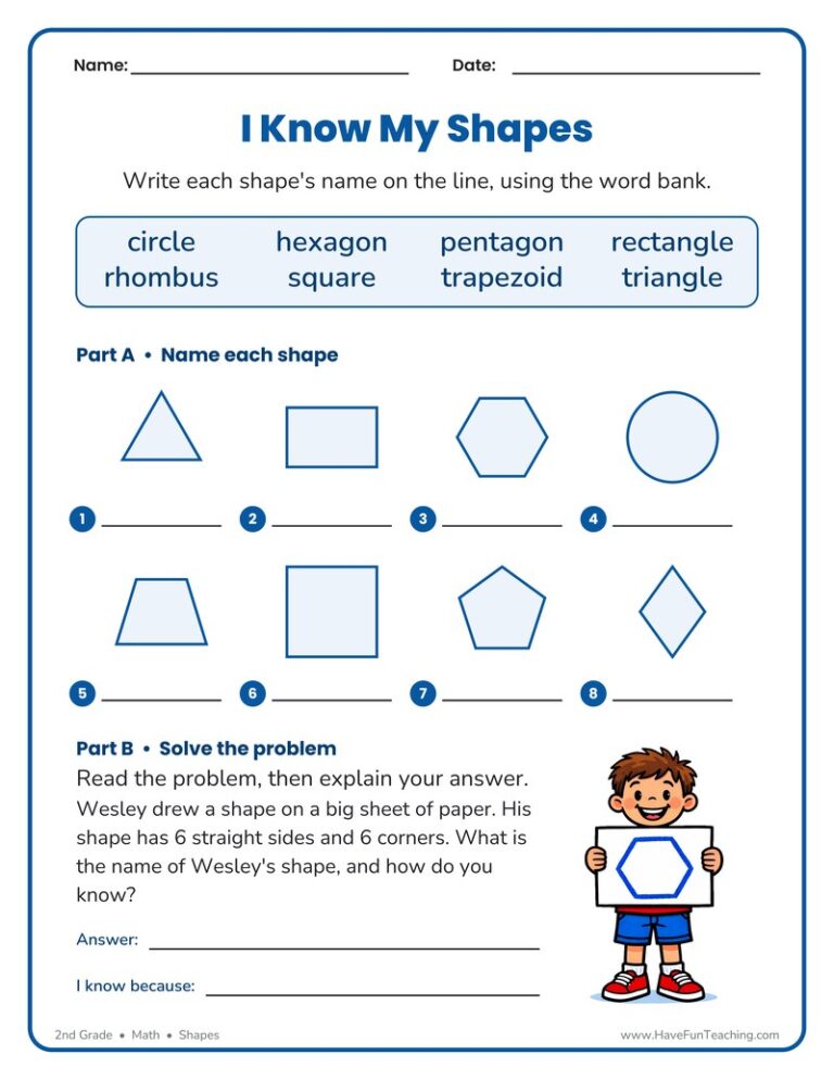 Identifying Shapes Worksheet