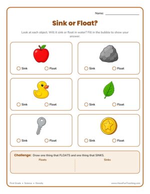 First grade sink or float science worksheet