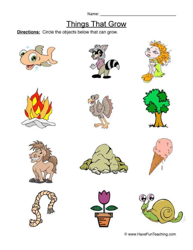Identifying Things That Grow Worksheet