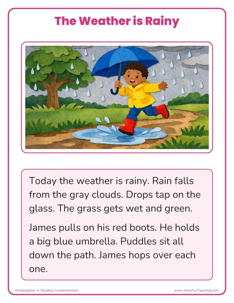 The Weather is Rainy Reading Comprehension Worksheet