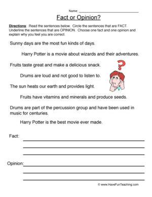 Write Fact Opinion Worksheet