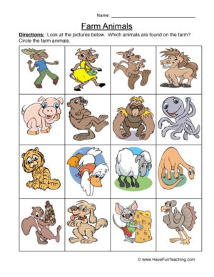 Farm Animals Examples Worksheet
