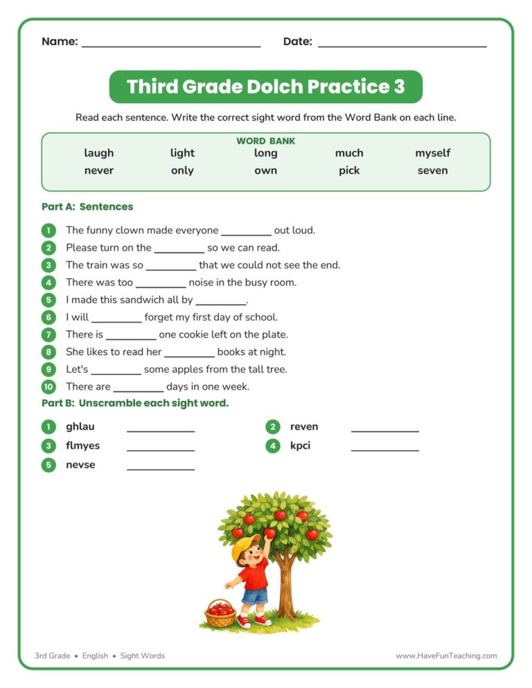 Third Grade Sight Words L to S Worksheet