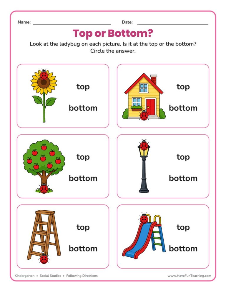 Identifying Top or Bottom Worksheet