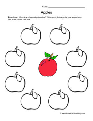 Describing Apples Worksheet