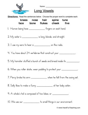 Long Vowels Filling in the Blanks Worksheet