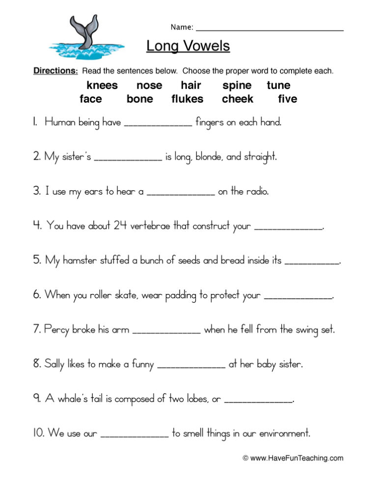 Long Vowels Filling in the Blanks Worksheet