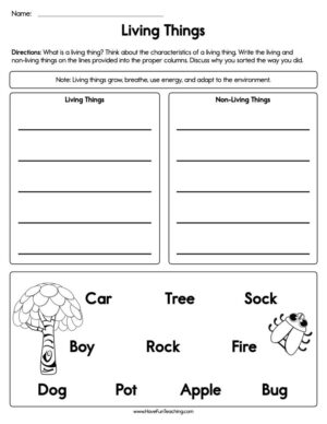 Sorting Characteristics Living Things Worksheet