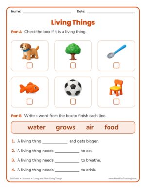 1st Grade Living and Non-Living Things Worksheet