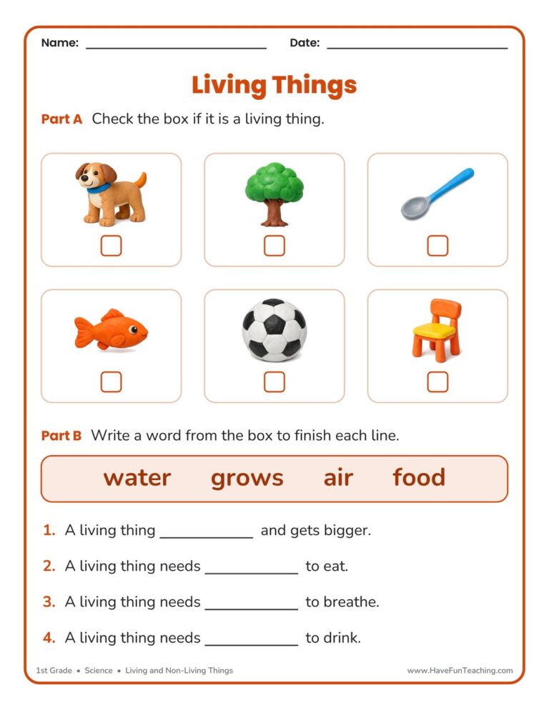 Describing Characteristics Living Things Worksheet