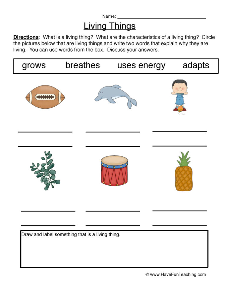 Describing Characteristics Living Things Worksheet