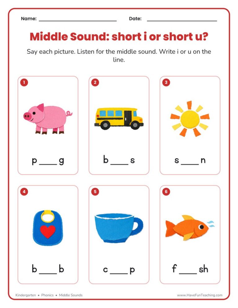 Middle Sounds I or U Worksheet