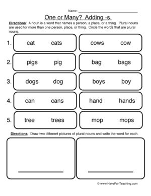 Plural Noun Adding S Worksheet