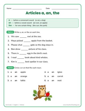 2nd grade articles a, an, the worksheet
