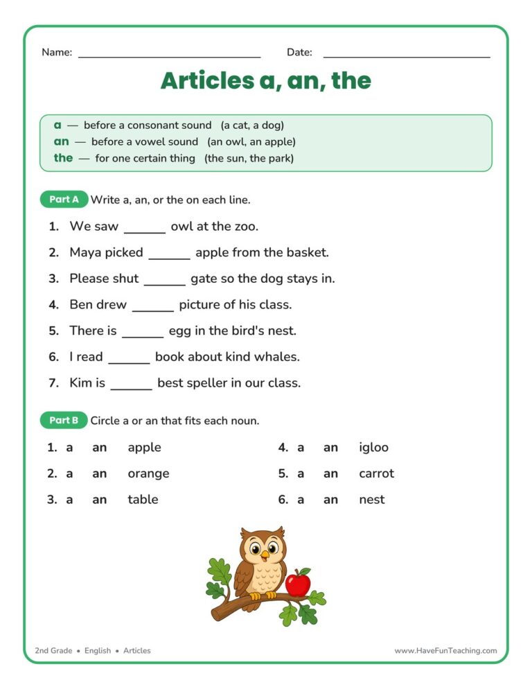 A, An, The Article Worksheet