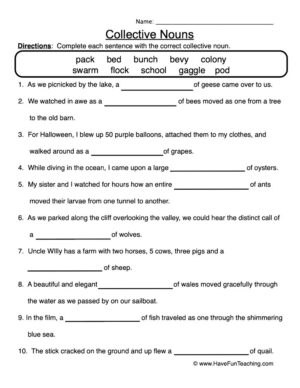 Collective Nouns Worksheet