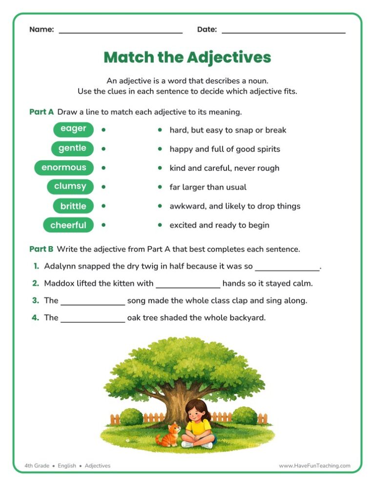 Matching Adjectives Worksheet