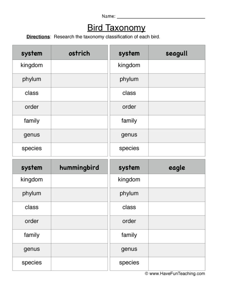 Bird Taxonomy Worksheet