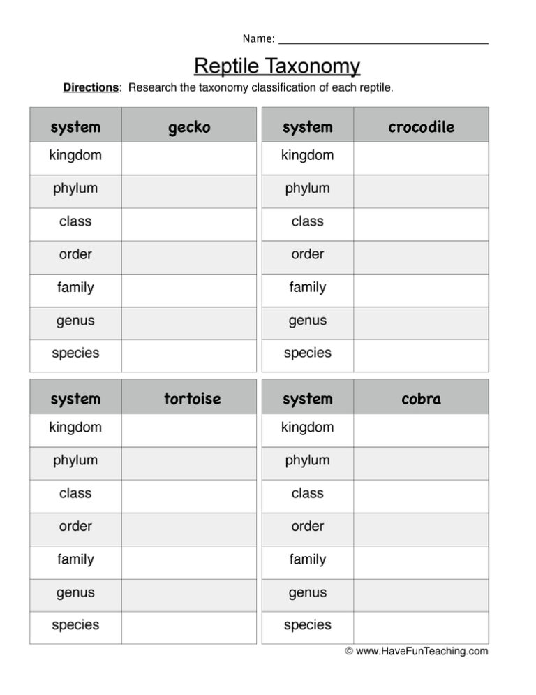 Reptile Taxonomy Worksheet