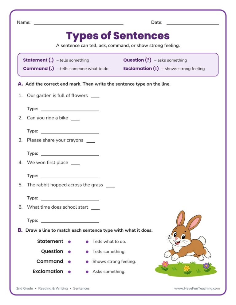 Types of Sentences Worksheet