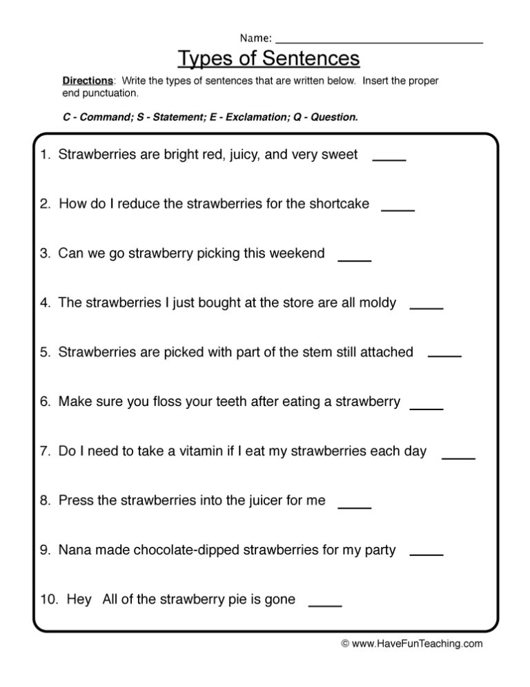Identifying Types of Sentences Worksheet