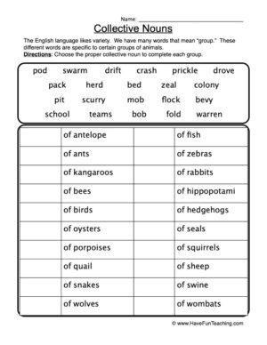 Groups of Animals Collective Nouns Worksheet