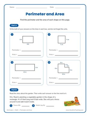 3rd Grade perimeter and area worksheet