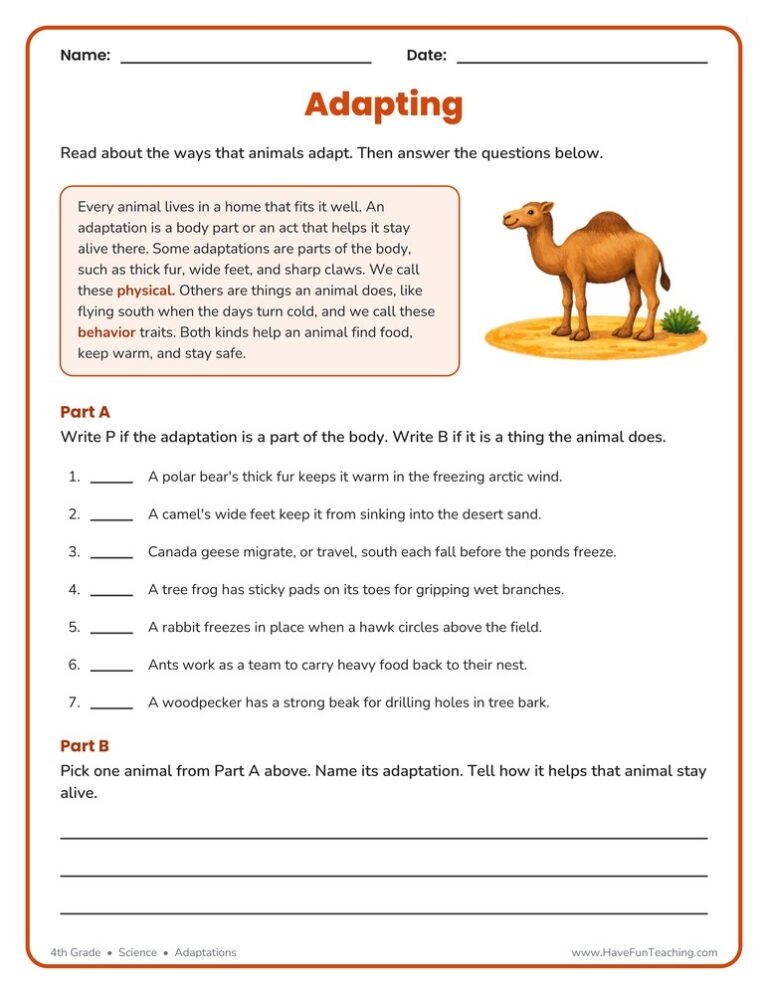 Adaptation Worksheet
