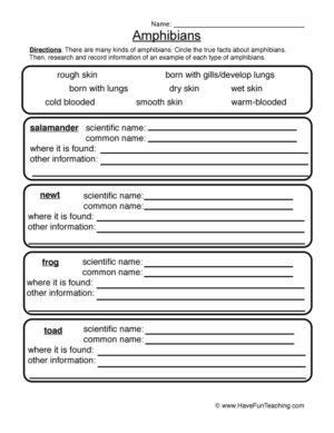 Amphibians Worksheet