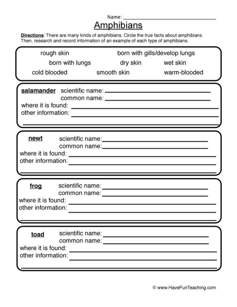 Amphibians Worksheet