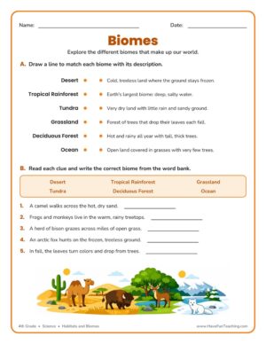 Biomes worksheet for 4th grade science with a biome matching activity, word bank, and a desert, grassland, forest, and tundra scene
