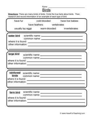 Birds Worksheet
