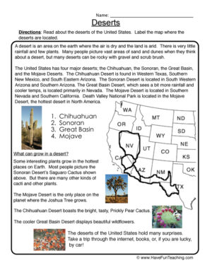Desert Plants Worksheet