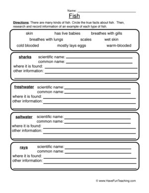Fish Worksheet