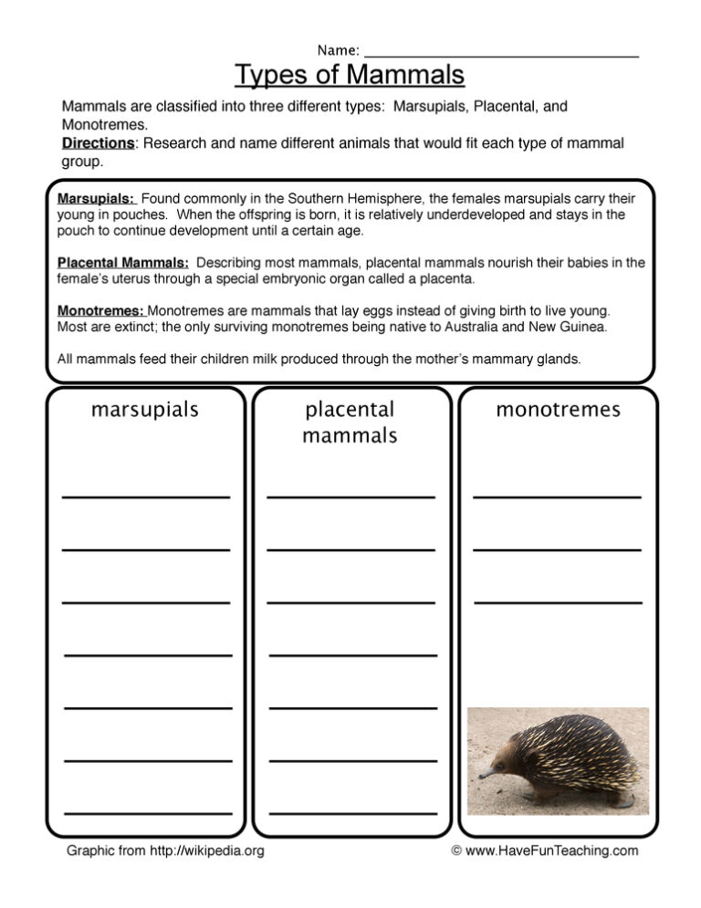 Mammals Worksheet
