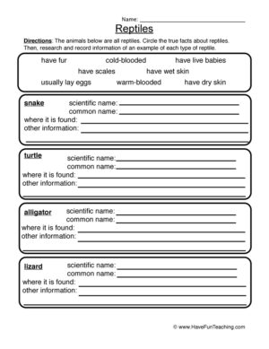 Reptiles Worksheet