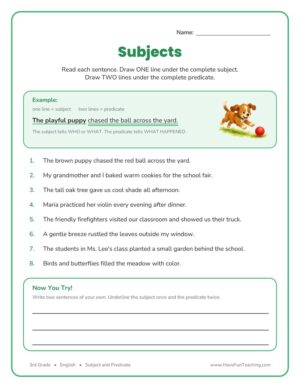 3rd Grade Subject and Predicate Worksheet