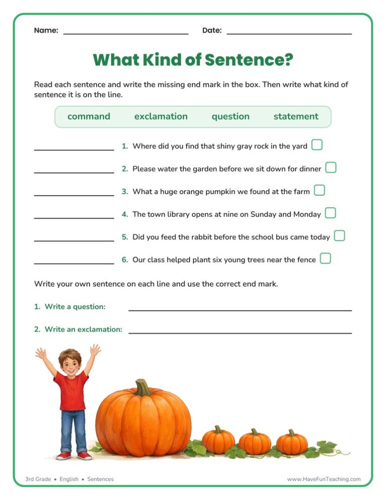 What Kind of Sentence? Worksheet