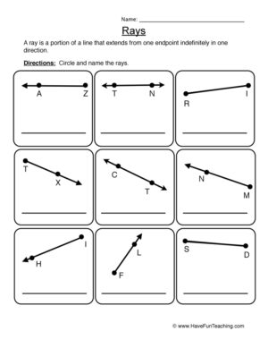 Rays Worksheet