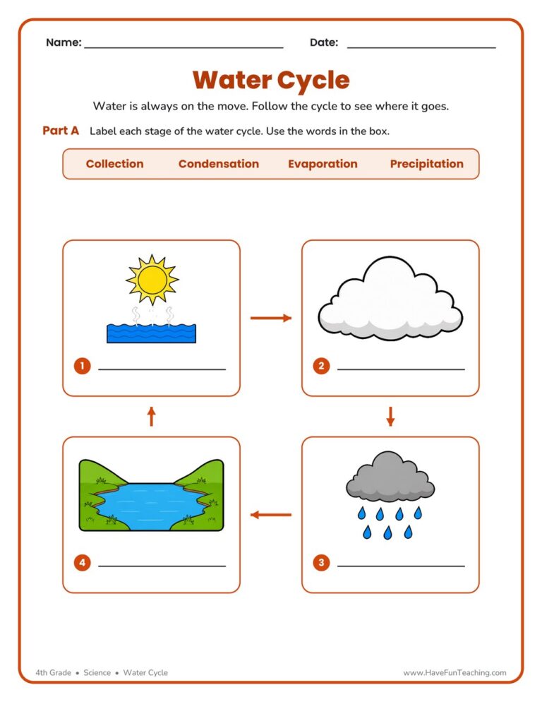 Water Cycle Worksheet